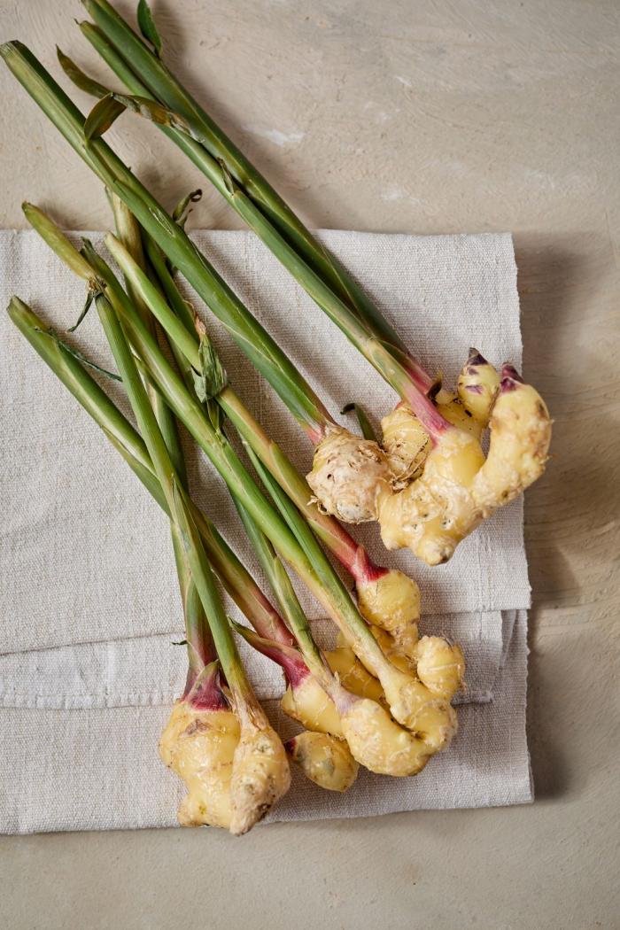 Gyömbér (vegyszermentes)